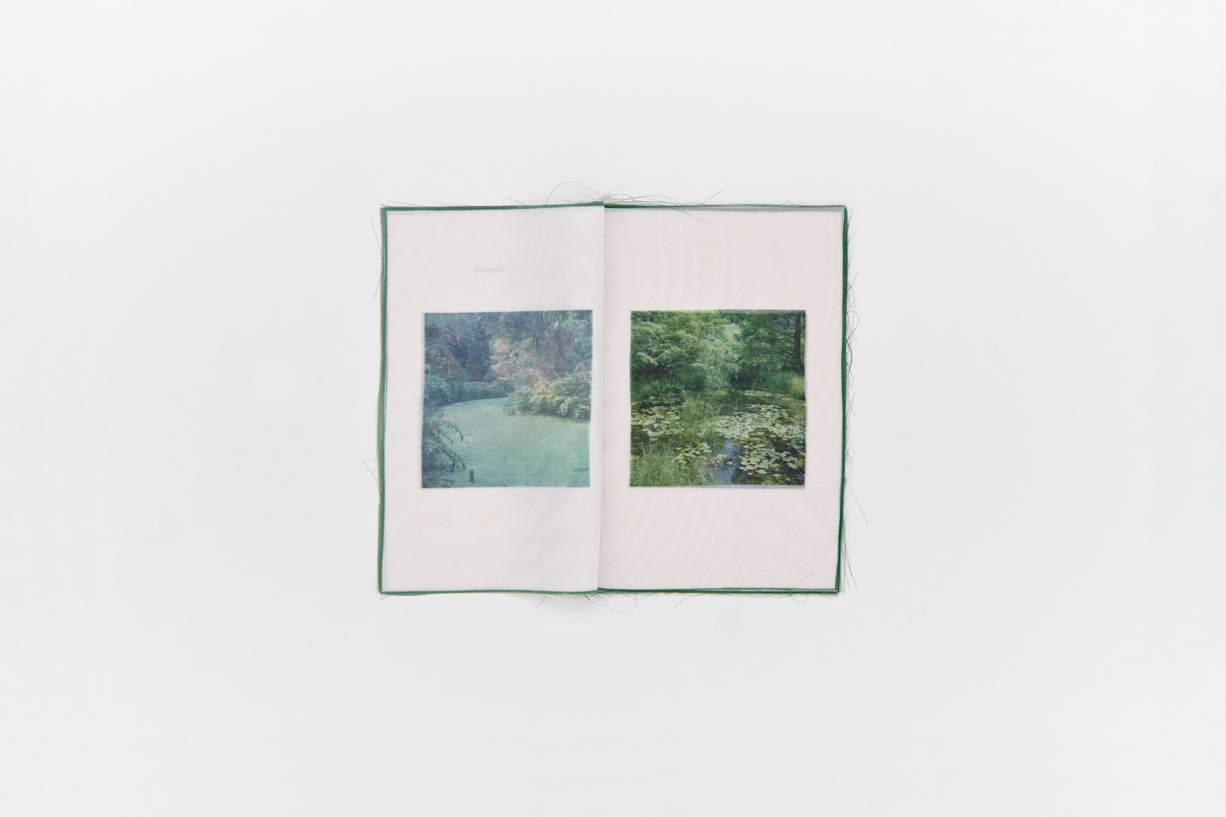ZINE　Loh Xiang Yun　Organised scenery布写真集 Organised scenery — Loh Xiang Yun